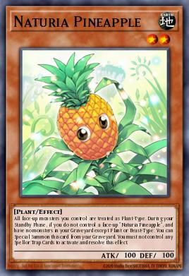 Naturia Pineapple HASE-EN002